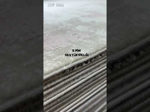 Zev Vogui Gül Kurusu ve Bej Soyut Desenli Modern Halı St040 160x230