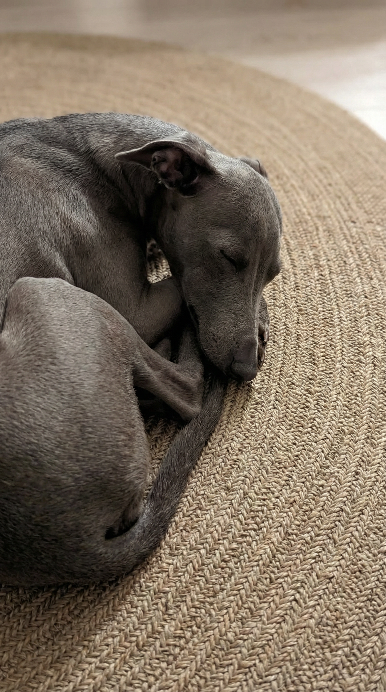 Zev Keten: Yuvarlak Kesim Jüt Görünümlü Halı - Odak Noktası Yaratın